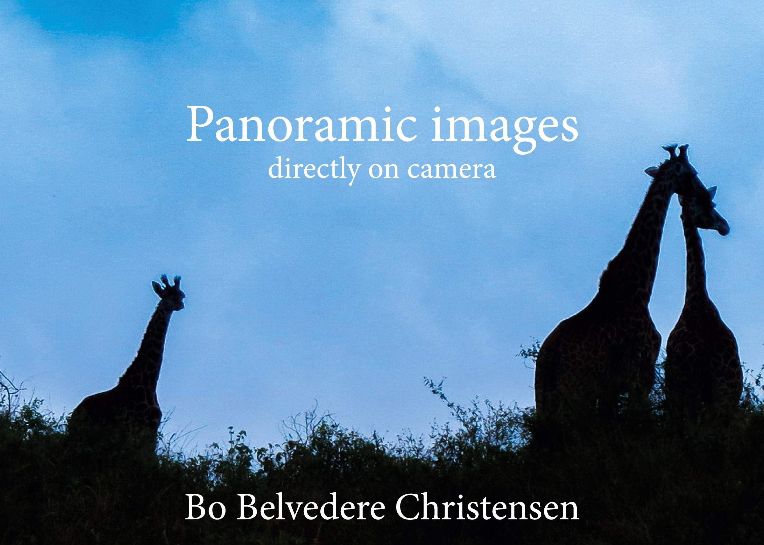 New book: Panoramic Images